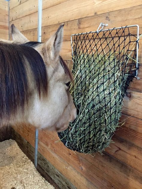 A hay net attached to an easily collapsible frame makes for easy filling. Collapsible Wall, Hay Feeder For Horses, Horse Feeder, Equestrian Clothes, Horse Paddock, Horse Hay, Horse Barn Ideas Stables, Horse Barn Designs, Dream Horse Barns