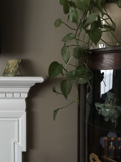 Living room decor.   (Behr Studio Taupe PPU5-7) Behr Paint Grizzly, Rustic Taupe Behr Paint, Behr Paint Taupe Colors, Behr Studio Taupe, Behr Brown Colors, Sculpted Clay Behr, Green Taupe Living Room, Dark Behr Paint Colors, Wild Truffle Behr Paint