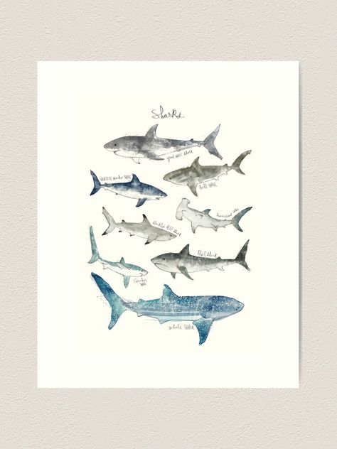 Shark Art, The Great White, Unicorn Art, Whale Shark, Great White, Art Prints For Sale, Watercolor Texture, Colour Images, Sharks