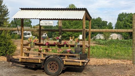 We hand-crafted our flower farmstand using an old trailer that had been trashed in the woods. The wood for the shelves came from a fallen tree in our yard + the metal roof was also salvaged from a junk pile! Fallen Tree, Farm Store, Farm Stand, Fresh Cut Flowers, Farm Table, Flower Stands, Flower Farm, Metal Roof, Autumn Trees