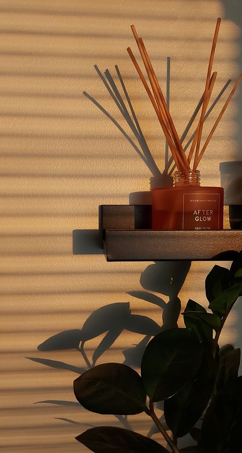 Reed Diffuser Aesthetic, Scented Candles Aesthetic Room, Incense Aesthetic, Scented Candles Aesthetic, Idea Photoshoot, Candle Aesthetic, Dirty Martini, Plant Aesthetic, Candle Diffuser