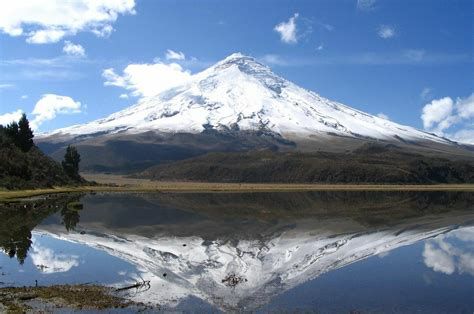 Nature Projects, Travel House, Quito Ecuador, Volunteer Work, Santa Marta, Language School, Learn Spanish, Galapagos Islands, Natural Park