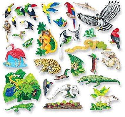 Habitat Series: Rainforest Themed Printables, Freebies and Projects | Homeschool Giveaways Amazon Rainforest Animals, Bird Feeder Craft, Rainforest Plants, Animal Cutouts, Animal Printables, Rainforest Animals, Cut Animals, List Of Animals, Friends Set