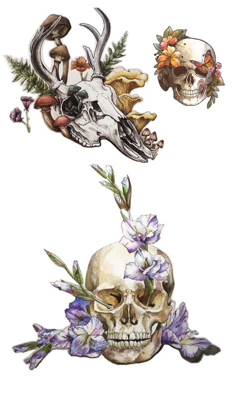 Plant Tattoo, Cool Pencil Drawings, Animal Bones, Plant Drawing, Skull Head, Gcse Art, Presents For Friends, Queenstown, Flora And Fauna