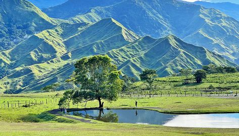 Bukidnon Communal Ranch: How to Get There, Where to Eat and Stay Bukidnon Philippines Aesthetic, Communal Ranch Bukidnon, Bukidnon Philippines, Bukidnon Tourist Spots, Omni Homestead Resort, Philippines Wallpaper, Zambales Tourist Spot, Sample Budget, Pineapple Farm