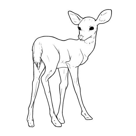 my favorite little line art! by snag-and-forbs Baby Deer Drawing, Deer Line Drawing, Deer Line Art, Deer Drawing, Small Canvas Art, Whitetail Deer, Summer Projects, Baby Deer, Small Canvas