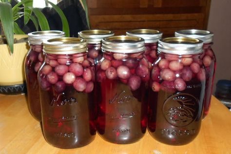 Grape Juice in a Jar Canning Grape Juice, Homemade Grape Juice, Grape Juice Recipe, Grape Recipes, Home Canning, Pressure Canning, Grape Juice, Jams & Jellies, Healthy Juices