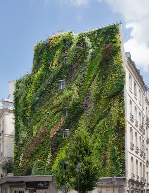 Urban Heat Island, Green Facade, Vertical Farming, City Farm, Vertical Gardens, Urban Nature, Green Architecture, Urban Gardening, Green City