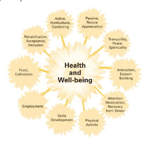 Figure 2 from The origins, development and perceived effectiveness of horticulture-based therapy in Victoria | Semantic Scholar Senior Gardening, Fairy Props, Therapeutic Horticulture, Accessible Gardening, Therapy Garden, Horticultural Therapy, Earth Warrior, Horticulture Therapy, Recreational Therapy