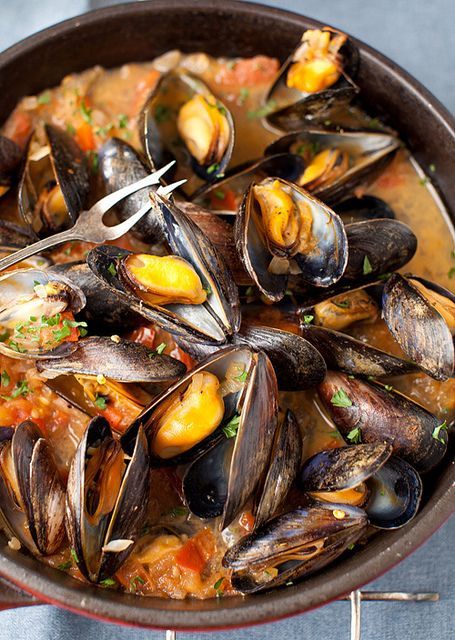 Fabulous Mussels with onions, tomato's, garlic, and wonderful dipping broth. Mussels In White Wine Sauce, Mussels In White Wine, Onions And Tomatoes, Mussels Recipe, White Wine Sauce, Wine Sauce, Think Food, Fish Dishes, Seafood Dishes