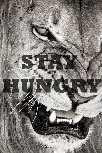 Fitboard Fuel Vol. 19: 15 Awesome Fitboard Posts Positive Mind Positive Vibes, Motivation Citation, Lion Quotes, Stay Hungry, Wallpaper Tumblr, Motivation Fitness, Visual Statements, Positive Mind, Sport Motivation