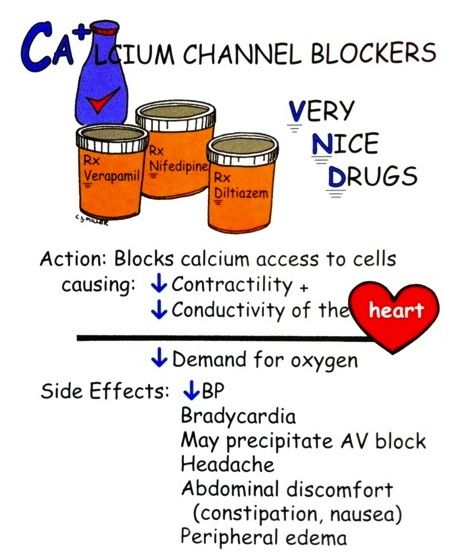 Calcium Channel Blockers Paramedic School, Calcium Channel Blockers, Nursing Information, Nursing Mnemonics, Cardiac Nursing, Pharmacology Nursing, Nursing School Survival, Nursing School Studying, Nursing School Tips