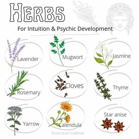 Witchy Herbs, Moon Meditation, Herbal Witch, Witchy Garden, Witchcraft Herbs, Herbal Education, Psychic Intuition, Magickal Herbs, Ayurvedic Healing