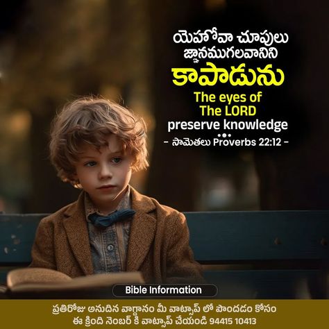 Proverbs 22:12 | Bible Verse | Bible Information . . . . #bible #bibleinformation #bibleverse #bible_information #Telugu #telugusongs #telugubibleverses #telugubible Linkedin Background Image, Linkedin Background, Proverbs 22, Kindle Book Cover, Campaign Posters, Blog Header, Online Ads, Event Promotion, Facebook Event