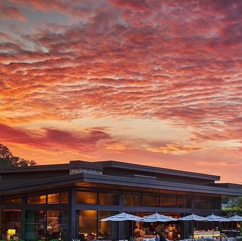 Montage Healdsburg on Instagram: "There's nothing quite like a wine country sunset.

#MontageHealdsburg #Sunset" Montage Healdsburg, Country Sunset, Wine Country, Wine, On Instagram, Instagram