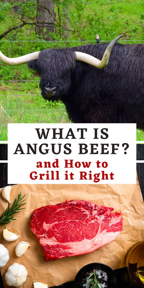 Read this guide and learn what is Angus beef and how to get the certified product. Angus is usually well marbled and perfect on the grill or smoker. Angus Beef Recipes, Beef Chuck Steaks, Angus Steak, Chuck Steak, Beef Steak Recipes, Bbq Dishes, Prime Beef, Beef Strips, Grilled Steak Recipes