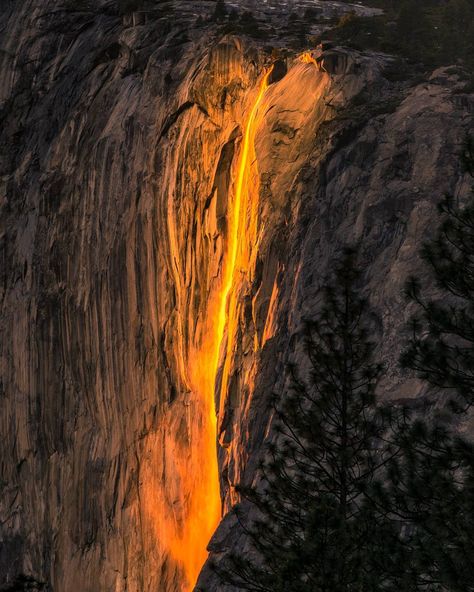 Yosemite’s El Capitan ‘firefall’ phenomenon puts on blazing show in February Yosemite Aesthetic, Horsetail Falls, Hotel Secrets, Amazing Landscapes, Funny Twitter, Memes Video, Interesting Quotes, Daily Funny, Landscape Pictures