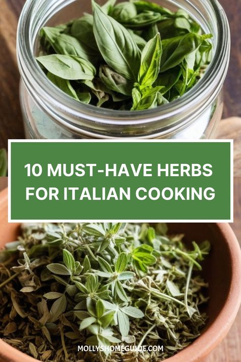 Discover the essential herbs for Italian cooking with our collection of Italian seasonings. Elevate your dishes with the fragrant flavors of basil, oregano, rosemary, and parsley. From classic pasta sauces to vibrant gremolata, these fresh herbs are key ingredients in traditional Italian cuisine. Explore new ways to incorporate these Italian cooking herbs into your meals with our delicious herb recipes. Don't forget to try our homemade fresh herb Italian dressing for a burst of Mediterranean fla Italian Seasonings, Cooking Herbs, Italian Herbs, Italian Sauce, Herb Recipes, Roasted Meat, Italian Dressing, Italian Cooking, Marjoram