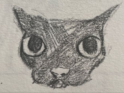 Cats Sketch, Texture Drawing Ideas, Skrunkly Cat Drawing, Dog Sketches, Street Drawing, Silly Cat Drawings, Cat Drawing Silly, Weird Cats Drawing, Meme Cats Doodle