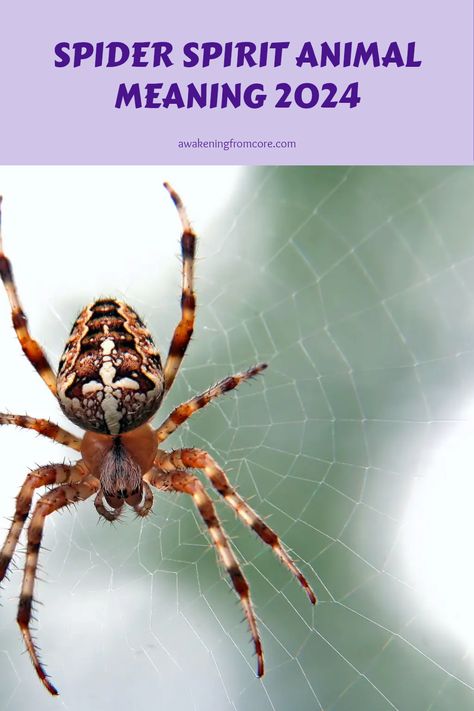 Curious about what the spider spirit animal can teach you? This guide uncovers the rich symbolism connected to spiders and how they appear in different cultures. Learn about intuition, creativity, and the unique observation skills associated with this lively creature. Discover how recognizing the traits of this fascinating animal can offer insight into your own life’s journey Spider Spirit Animal, Spider Symbolism, Beach Witch, Spirit Animal Meaning, Animal Meanings, Animal Spirit Guides, Animal Guides, Animal Symbolism, Different Cultures