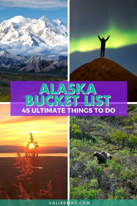 Alaska Excursions, Dog Mushing, Alaska Bucket List, Alaska Road Trip, Alaska Northern Lights, Trip To Alaska, National Parks America, Alaska Trip, Visit Alaska