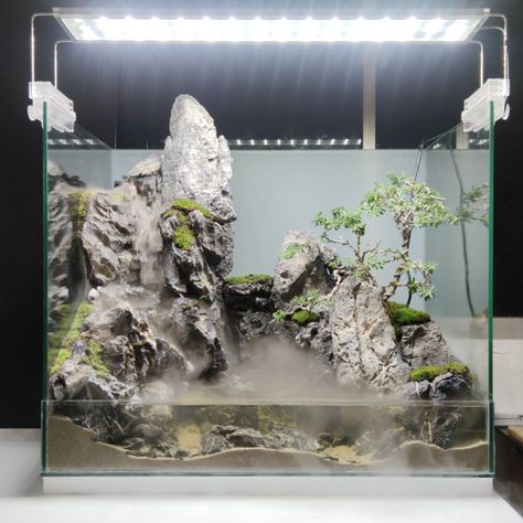 check out how this paludarium been made on youtube #paludarium #aquaterrarium #terrarium #waterfall #aquatic #seiryu #seiryu stone aquascape #bonsai #river #aquarium design #paludarium waterfall #paludarium waterfall aquascaping #aquascaping#mist maker #create waterfall #diy realistic waterfall Paludarium Ideas, Tree Frog Terrarium, Frog Terrarium, Aquarium Rocks, Taman Air, Aquascape Design, Diy Step, Aquarium Terrarium, Aquarium Landscape