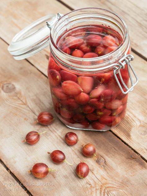 Stock photo of making of gooseberry gin. Gooseberry Gin, In A Jar, Food Preparation, Red Peppercorn, Gin, How To Use, Condiments, Red