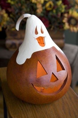 Don't miss out on these unique hand carved, lighted gourds.  A perfect conversation piece for all your fall visitors to your home.  They are... Gourd Projects, Fall Gourds, Halloween Gourds, Gorgeous Gourds, Gourds Birdhouse, Decorative Gourds, Hand Painted Gourds, Carved Pumpkin, Gourds Crafts