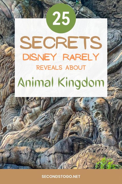 Discover 25 Disney World secrets about Animal Kingdom that even cast members don't want to share. #animalkingdom #disneysecrets #Disneyworldfacts Disney World Facts, Disney World Secrets, Disney Animal Kingdom, Disney Secrets, Disney World Vacation Planning, Disney World Tips And Tricks, Disney Tips, Animal Facts, Disney World Trip