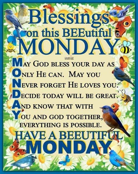 Morning Poems, Monday Magic, Blessed Monday, Monday Morning Blessing, Good Morning Poems, Week Blessings, Monday Prayer, Monday Greetings, Tree Poem