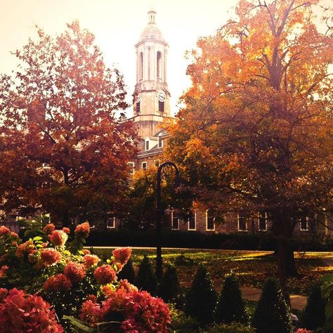 Love fall days at Penn State Penn State College, Penn State Football, Pennsylvania State University, Penn State University, Dream College, Dream School, Happy Valley, University Campus, State College