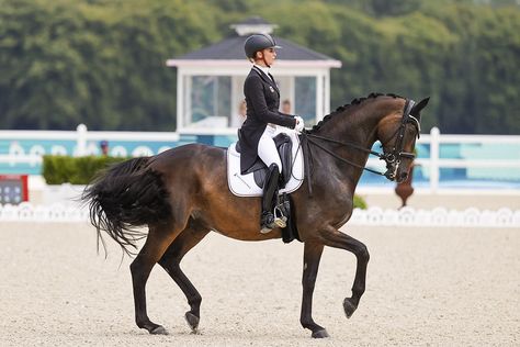 Can the reigning Olympic champions repeat?  Their score today during day 2 of the Grand Prix Dressage Qualifier suggests they might! TSF Dalera BB ridden by Jessica von Bredow-Werndl scored the highest of all qualifying scores.  Gold medalists in Tokyo as individuals & with Team Germany, the pair will advance for a chance to repeat both golds. Germany also has the highest score of all teams after the qualifying rounds & will also defend their championship.  For a full recap ⬇️  📷️: Cealy Tetley Grand Prix Dressage, Senior Horse Care, Hunter Jumper Horses, Horse Reining, Horseback Riding Lessons, Horse Movies, Horse Arena, Equestrian Events, Horse Camp