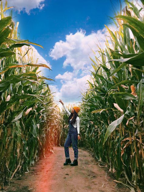 Overalls Photoshoot, Corn Maze Photoshoot, Maze Photoshoot, Corn Maze Pictures, Wearing Overalls, Pumpkin Patch Photoshoot, Pumpkin Patch Pictures, Fall Photo Shoot Outfits, Sunflower Photography