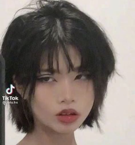 Short Hair Inspo For Round Faces, Short Layers And Bangs, Shizuku Haircut, Bob Aesthetic, Short Hime Haircut, Tomboy Hairstyles Round Face, Jellyfish Haircut X Wolf Cut Short, Short Hair Korean Style, Short Haircut Ideas For Round Face