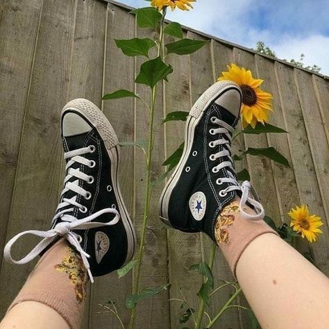 Converse Aesthetic, Ambassador Program, Converse Shoes, All Star, Sunflower, Follow Me, Converse, Tumblr, Black