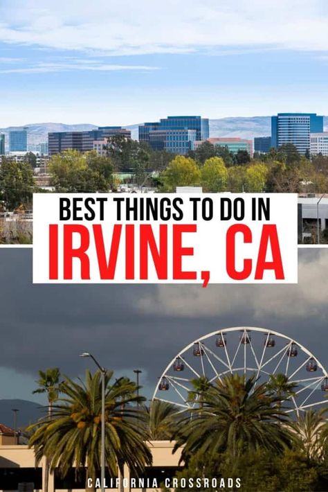 13 Irresistible Things to Do in Irvine, California Usa Travel Map, Activities For All Ages, Irvine California, Visit Usa, Travel Bucket List Usa, Travel Destinations Bucket Lists, California Republic, Us Road Trip, International Travel Tips