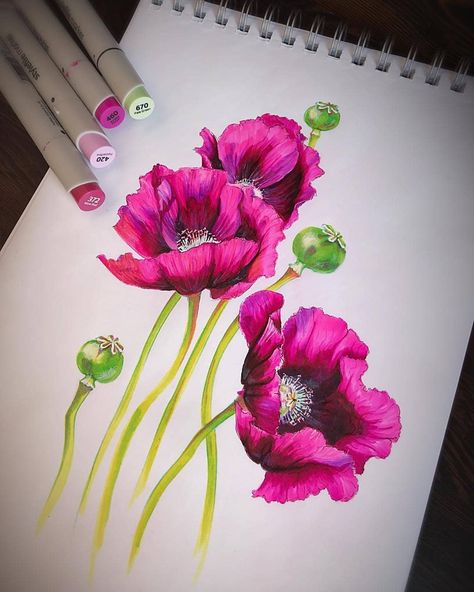 Beautiful flower painting made by @olgewa . --- Tag @stylefile_marker in your pictures and use #stylefilemarker for the chance to get… Copic Marker Flowers, Alcohol Marker Flowers, Brush Marker Art, Flower Power Art, Alcohol Ink Markers, Copic Marker Art, Alcohol Ink Crafts, Colored Pencil Artwork, Flower Art Drawing