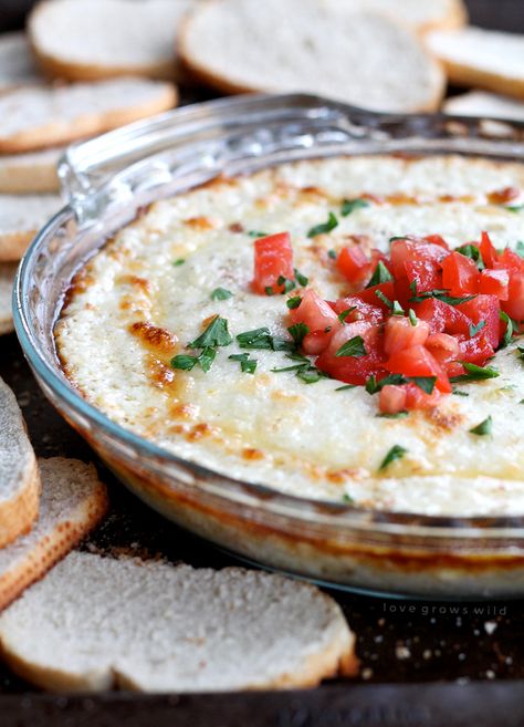 Smoked Mozzarella Dip - Love Grows Wild Mozzarella Dip, Smoked Mozzarella, Mozzarella Recipes, Italian Appetizers, Party Dips, Thanksgiving Appetizers, Asiago, Christmas Appetizers, Provolone