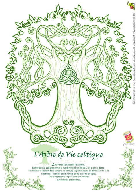 Coloriage celtique http://www.papa-blogueur.fr/coloriages-et-activites-a-imprimer-de-la-bretagne Irish Aesthetic, Axis Mundi, Celtic Fonts, Book Portfolio, Tree Of Life Art, Celtic Dragon, Celtic Tree Of Life, Book Of Kells, Celtic Tattoos