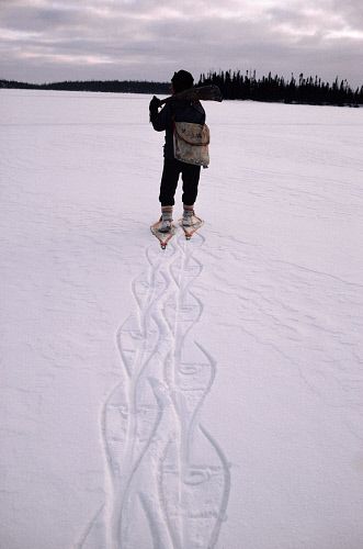 Cree hunter wearing snow shoes to aid his walking leaves dramatic footprints. Quebec, Canada. Snow Shoeing Aesthetic, Snow Shoeing Photography, Snow Camping Aesthetic, Ice Fishing Photography, Snow Shoeing, Snow Shoe, Elk In Snow, Polar Bear On Ice, Snowshoes