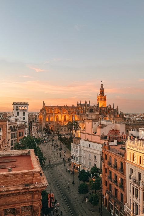 Picture of the Seville Cathedral from a Rooftop at Sunset Seville Spain Aesthetic, Seville Aesthetic, Seville Cathedral, Best Rooftop Bars, Rooftop Bars, Rooftop Patio, Seville Spain, Beautiful Cities, Barcelona Travel