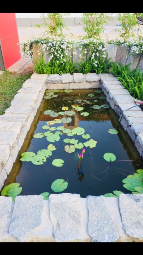 Lotus pond at a place called Earthen Bowl!! Lotus Pond Garden At Home, Lotus Pond At Home, Lotus Plant At Home, Lotus Pond Garden, Social Garden, Flower Stall, Mini Pond, Spiritual Garden, Lotus Garden