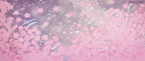 tumblr_o7ck0aJrTU1vuk4olo1_500.gif (500×212) Pink Water Gif, Pink Gif Wallpaper Pc, Light Pink Discord Banner Gif, Pink Gifs Discord, Sakura Gif Cherry Blossoms, Gif Banner Cute, Notion Banner Gif, Cute Pink Header, Cute Pink Gif