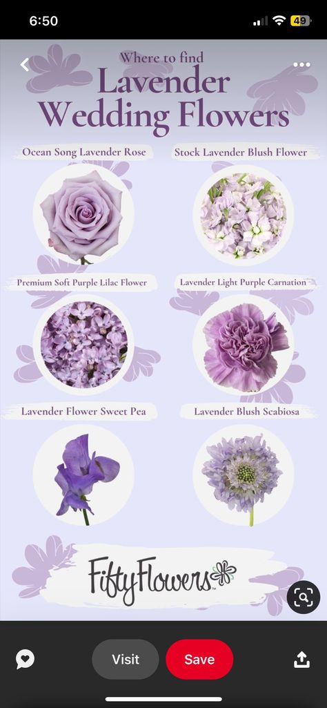 Pink Purple And Sage Wedding, Lilac And Tan Wedding, Lavender And Silver Wedding Theme, Lilac And Black Wedding Theme, Purple And Grey Wedding Theme, Light Purple Wedding Theme, Lavender And Grey Wedding, Lilac Wedding Theme, Dusty Purple Wedding