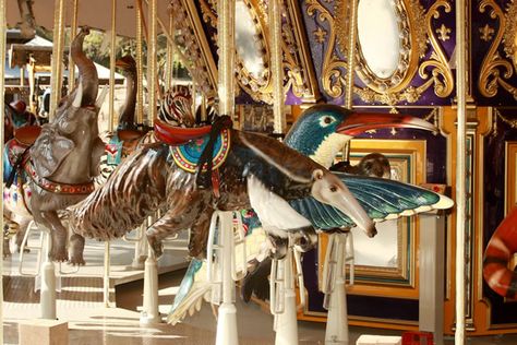 Anteater Merry Go Round Horse, Carousel Art, Wooden Horses, Columbus Zoo, Carousel Horse, Wooden Horse, Golden Gate Park, Painted Pony, Carousel Horses