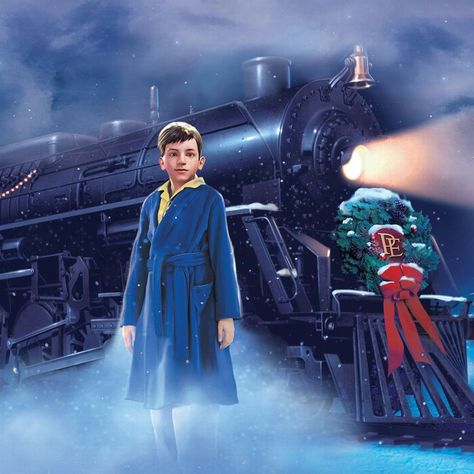 The Polar Express Movie, Polar Express Theme, Polar Express Christmas, Polar Express Movie, Polar Express Train Ride, Classic Holiday Movies, Train Movie, Disney Character Drawings, Polar Express Train