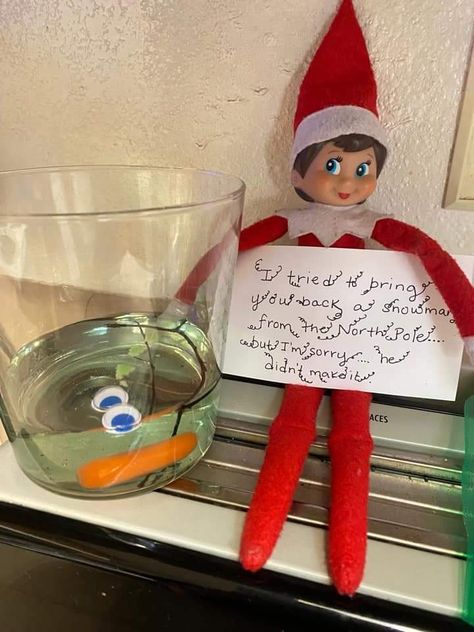 Croc Infested Water Elf, Elf On The Shelf On A Cruise, Elf On Vacation Ideas, Elf Ideas Welcome Back, Elf On The Shelf On A Cruise Ship, Elf In The Shelf Arrival Ideas, Thanksgiving Napkin Folds, Simple Thanksgiving Table Decor, Shelf Inspiration