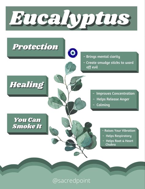 Eucalyptus Witchcraft, Eucalyptus Smudge, Apothecary Diy, Medicinal Herbs Garden, Herbs Garden, Medical Herbs, Sacred Science, Witch Stuff, Magic Herbs