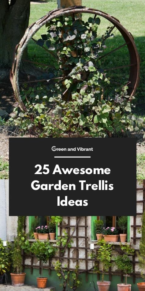 Outdoor Trellis Ideas, Rustic Trellis, Privacy Garden, Deer Fencing, Vegetable Trellis, Garden Trellis Ideas, Large Trellis, Metal Garden Trellis, Grape Trellis