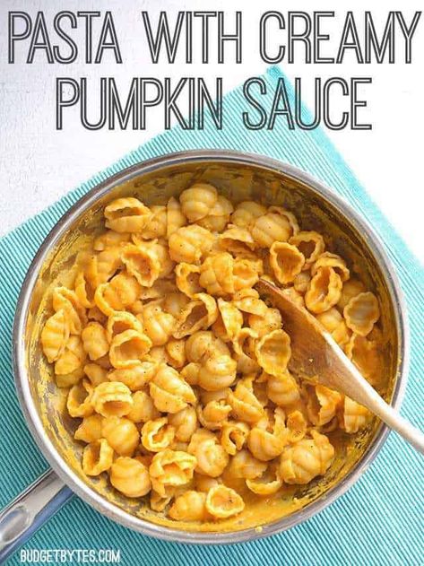 Pumpkin Pasta Sauce, Pumpkin Puree Recipes, Coconut Smoothie Recipe, Pumpkin Sauce, Pumpkin Pasta, Budget Bytes, Healthy Recipes Easy Snacks, Easy Smoothie Recipes, Healthy Snacks Easy